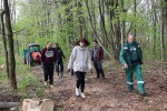 Zelena čistka: U sklopu akcije očišćena planinarska staza Virovitički vidici, u šumi je bilo televizora i frižidera, broj divljih odlagališta znatno se smanjuje 19 zelena 19