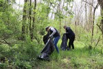 Zelena čistka: U sklopu akcije očišćena planinarska staza Virovitički vidici, u šumi je bilo televizora i frižidera, broj divljih odlagališta znatno se smanjuje 21 zelena 21
