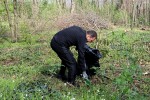 Zelena čistka: U sklopu akcije očišćena planinarska staza Virovitički vidici, u šumi je bilo televizora i frižidera, broj divljih odlagališta znatno se smanjuje 26 zelena 26