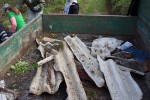 Zelena čistka: U sklopu akcije očišćena planinarska staza Virovitički vidici, u šumi je bilo televizora i frižidera, broj divljih odlagališta znatno se smanjuje 34 zelena 34