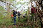 Zelena čistka: U sklopu akcije očišćena planinarska staza Virovitički vidici, u šumi je bilo televizora i frižidera, broj divljih odlagališta znatno se smanjuje 6 zelena 6