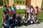 Oduševljeni pticom selicom: Bijela roda uskoro bi mogla postati zaštitni znak Špišić Bukovice 1 roda sb 1