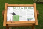Oduševljeni pticom selicom: Bijela roda uskoro bi mogla postati zaštitni znak Špišić Bukovice 5 roda sb 5