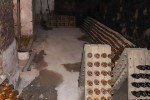 U Zavičajnom muzeju Slatina otvorena izložba ''Slatinski biser, pjenušac vlastelina Schaumburg-Lippe'' 7 17tv7szi