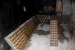 U Zavičajnom muzeju Slatina otvorena izložba ''Slatinski biser, pjenušac vlastelina Schaumburg-Lippe'' 4 7uatl3wd