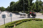 sajam slatina 21
