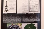 U Zavičajnom muzeju Slatina otvorena izložba ''Slatinski biser, pjenušac vlastelina Schaumburg-Lippe'' 23 y3jx5wl0