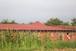 IMG 0097