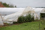 IMG 0179