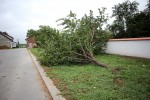 IMG 0189