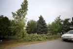 IMG 0213