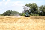 Fotogalerija: Organizacija za 5+, pogledajte kako je bilo „iza objektiva“ 15. natjecanja orača Virovitičko-podravske županije 54 IMG 8589