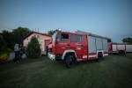 IMG 9082