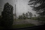 IMG 9137