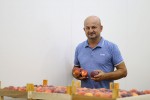 Njegove su breskve „velike poput jabuka“: Od lipnja kod Zdravka Pokupića u Vukosavljevici traje berba ovog slatkog ljetnog voća 1 IMG 9196