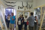 Studijsko putovanje ravnatelja osnovnih i srednjih škola Virovitičko-podravske županije u Bosnu i Hercegovinu 6 cuvofocb