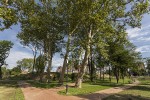 Fotogalerija: Novo zeleno ruho virovitičkog Gradskog parka privlači sve veći broj građana 1 zeleni park 1