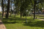 Fotogalerija: Novo zeleno ruho virovitičkog Gradskog parka privlači sve veći broj građana 4 zeleni park 4