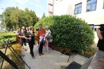 IMG 46701