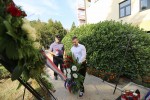 IMG 4733