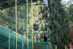Fotogalerija: U dvoboju pretkola Hrvatskog nogometnog kupa Suhopolje poraženo od Oriolika koji je već nakon prve dionice imao 5:0 31 IMG 5455