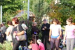 IMG 7526