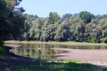 image003 1 1068x713