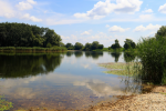 image005 1 696x464