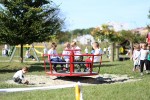 IMG 9379