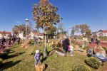 Jesen u gradu: Mnoštvo Virovitičana uživalo u ljepotama jeseni na šetnici kod Gimnazije Petra Preradovića 1 jesen u gradu 1