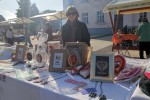 Jesen u gradu: Mnoštvo Virovitičana uživalo u ljepotama jeseni na šetnici kod Gimnazije Petra Preradovića 12 jesen u gradu 12