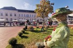 Jesen u gradu: Mnoštvo Virovitičana uživalo u ljepotama jeseni na šetnici kod Gimnazije Petra Preradovića 17 jesen u gradu 17