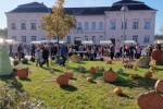 Jesen u gradu: Mnoštvo Virovitičana uživalo u ljepotama jeseni na šetnici kod Gimnazije Petra Preradovića 25 jesen u gradu 25