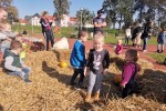 Jesen u gradu: Mnoštvo Virovitičana uživalo u ljepotama jeseni na šetnici kod Gimnazije Petra Preradovića 36 jesen u gradu 37