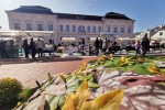 Jesen u gradu: Mnoštvo Virovitičana uživalo u ljepotama jeseni na šetnici kod Gimnazije Petra Preradovića 37 jesen u gradu 38
