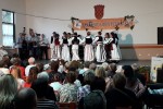 kestenijada vocin 2