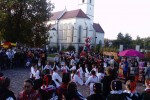 kestenijada vocin 4