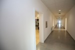 IMG 0508