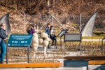 Park prirode Papuk - Tjedan otvorenih vrata u Kući Panonskog mora: Upustite se u avanturu i saznajte kakav je život nekada bio na ovim prostorima 3 Papuk smanjene 58 1