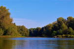 nature 5