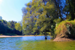 nature 7