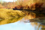nature 8