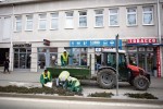 Djelatnici Flore VTC počeli s predsezonskim održavanjem: Uređuju kružne tokove, orezuju stabla, a uskoro kreću sa sadnjom na novom trgu 2 virovitica sadnja cvijeća Custom