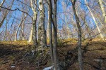 IMG 1894