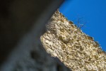 Šibale su je oluje, snijeg i vjetrovi, grijalo ju je sunce, rušili tirani, no ona još uvijek stoji promatrajući ponosnu slavonsku ravnicu: Ovo je Ružica grad jedan od najvećih utvrđenih gradova u Hrvatskoj 21 IMG 3069