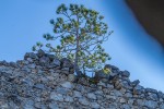 Šibale su je oluje, snijeg i vjetrovi, grijalo ju je sunce, rušili tirani, no ona još uvijek stoji promatrajući ponosnu slavonsku ravnicu: Ovo je Ružica grad jedan od najvećih utvrđenih gradova u Hrvatskoj 22 IMG 3076