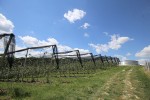 IMG 5788