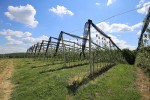 IMG 5790