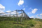 IMG 5796