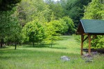 Fotogalerija: Ako vas put od Slatine preko Huma navede prema Voćinu, posjetite Arboretum Lisičine 14 IMG 6130